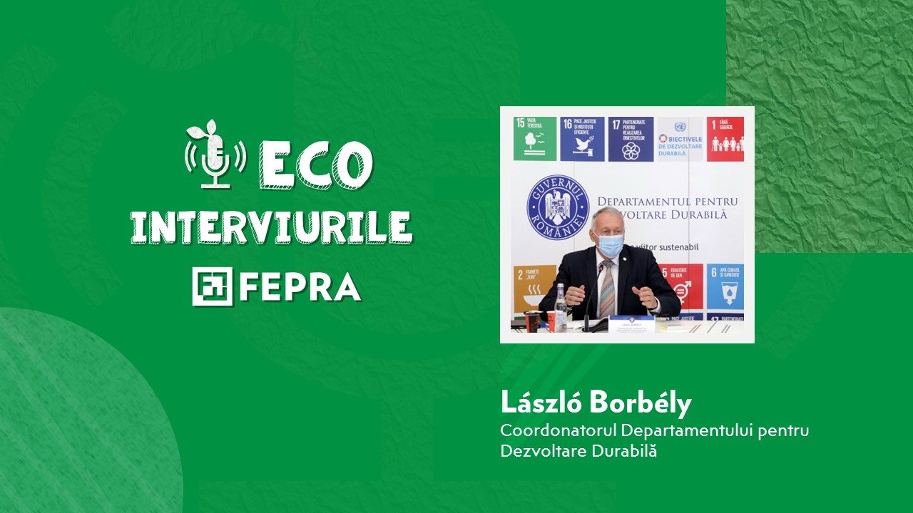 László Borbély, Coordonatorul Departamentului pentru Dezvoltare Durabilă