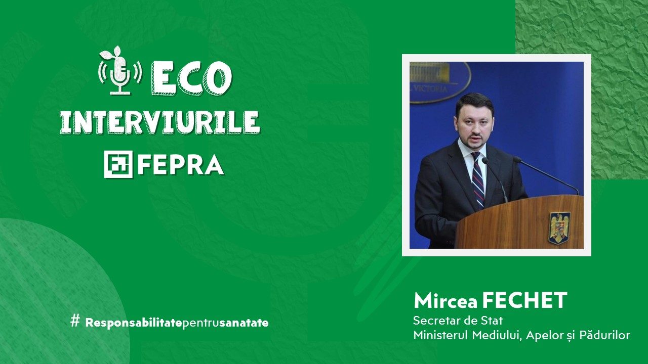 Mircea Fechet, Secretar de Stat, Ministerul Mediului, Apelor şi Pădurilor