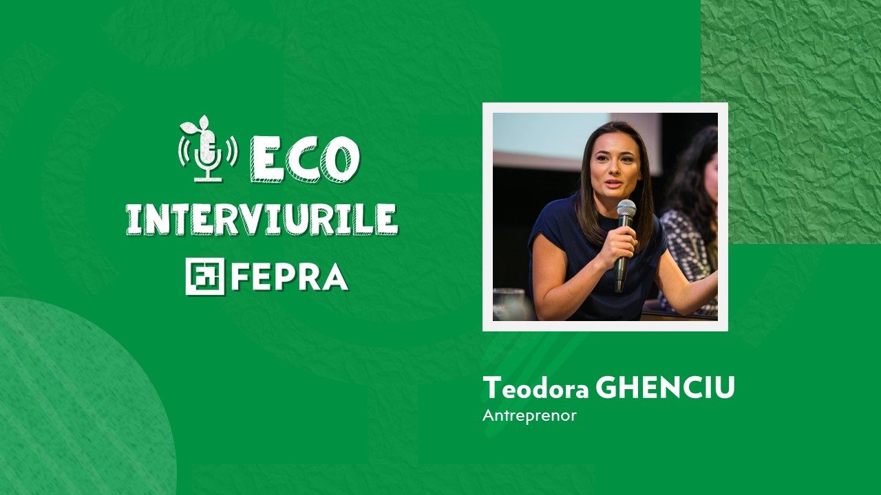 Teodora Ghenciu, Antreprenor