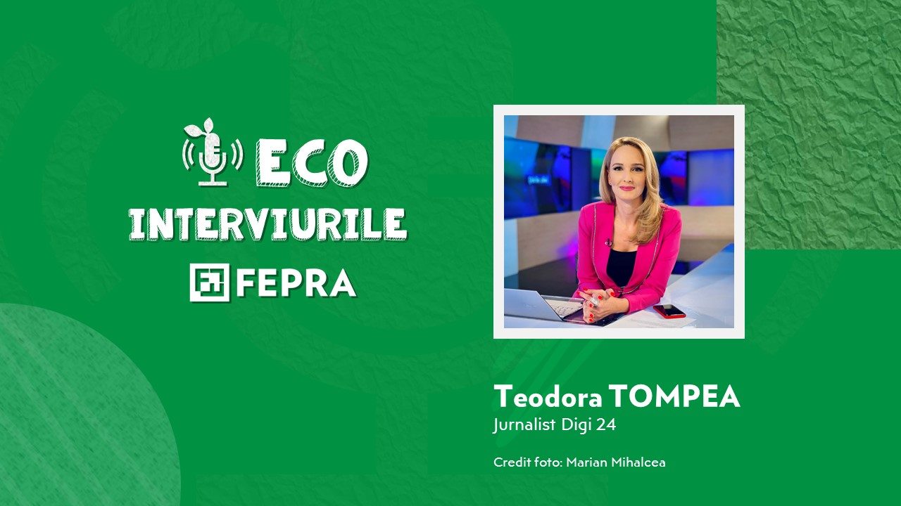 Teodora Tompea, Jurnalist Digi 24